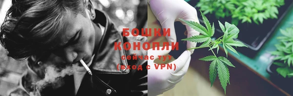 молекула духа Верея