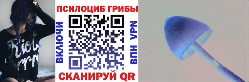 Галлюциногенные грибы Psilocybine cubensis  Мончегорск 